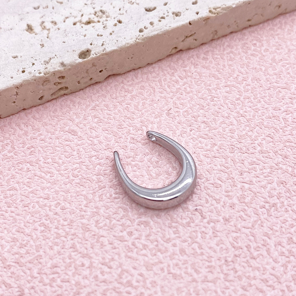 11953 Horseshoe Charm