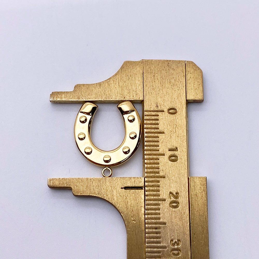 11954 Horseshoe Charm