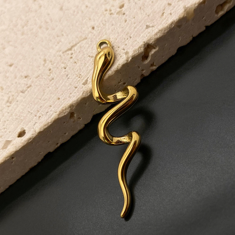 11651 Snake chaem