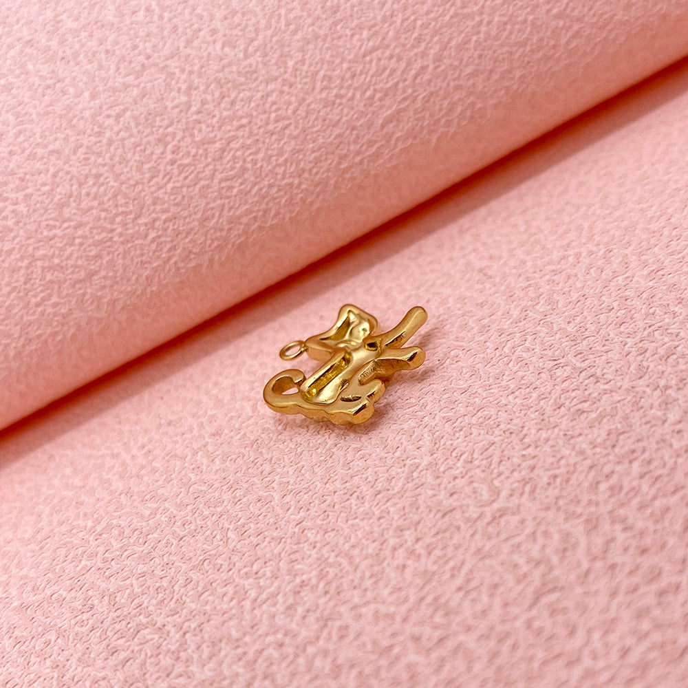 5889 Cat charm