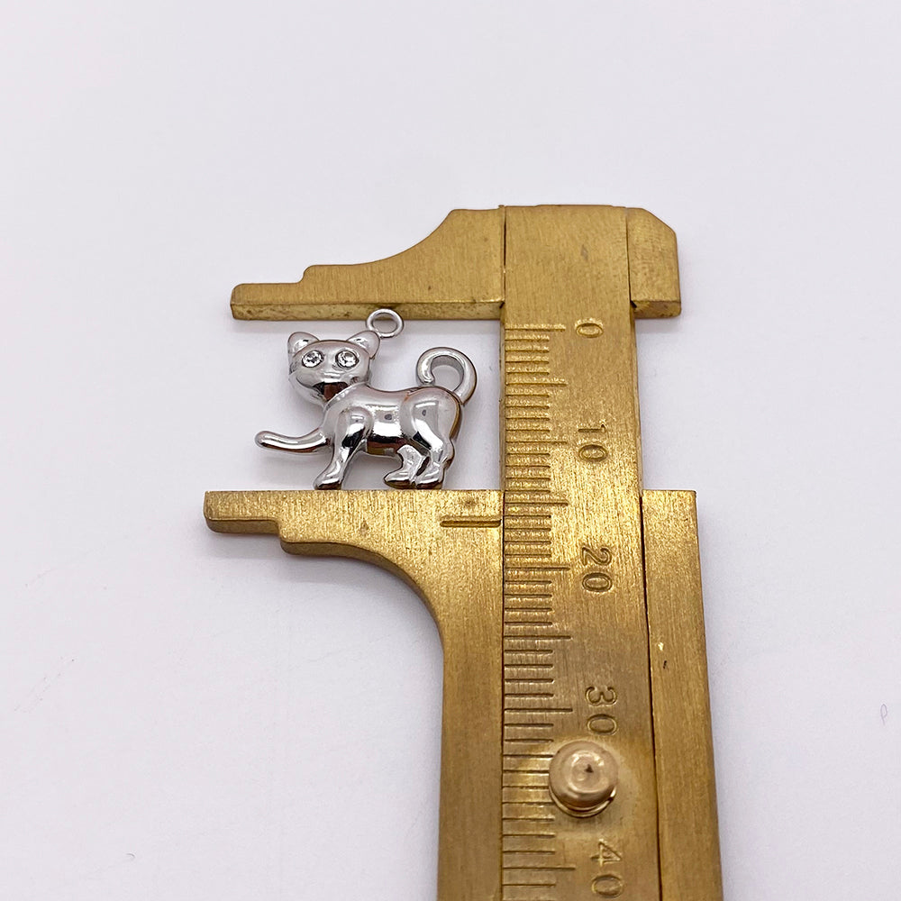 5889 Cat charm