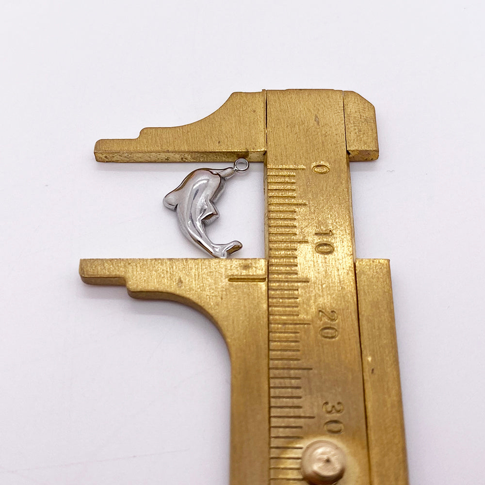 PC763 Dolphin charm