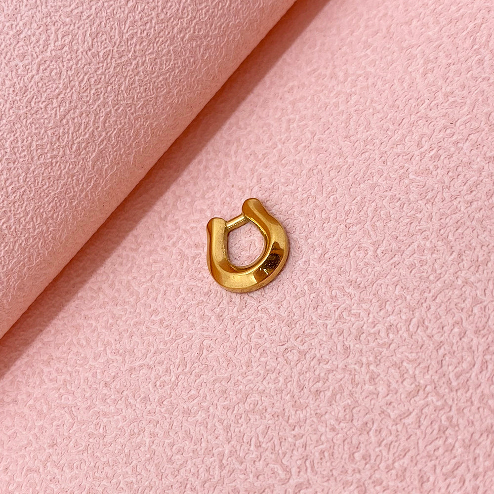 PC318 Horseshoe charm