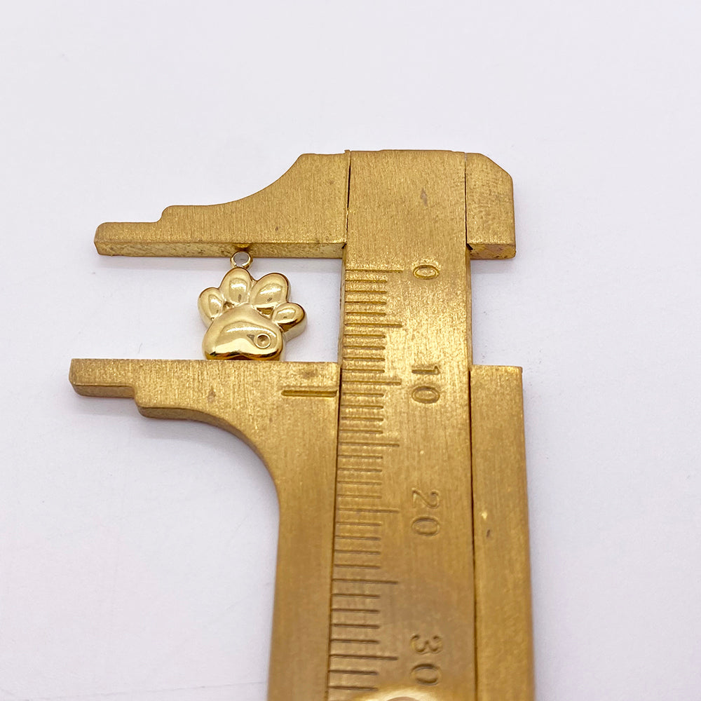 1902 Dog paw charm