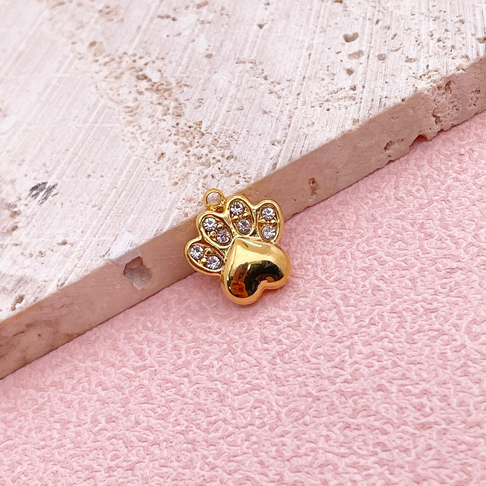 0459 Paw charm