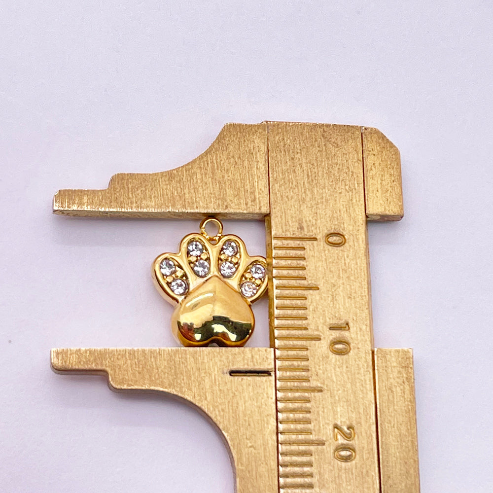 0459 Paw charm