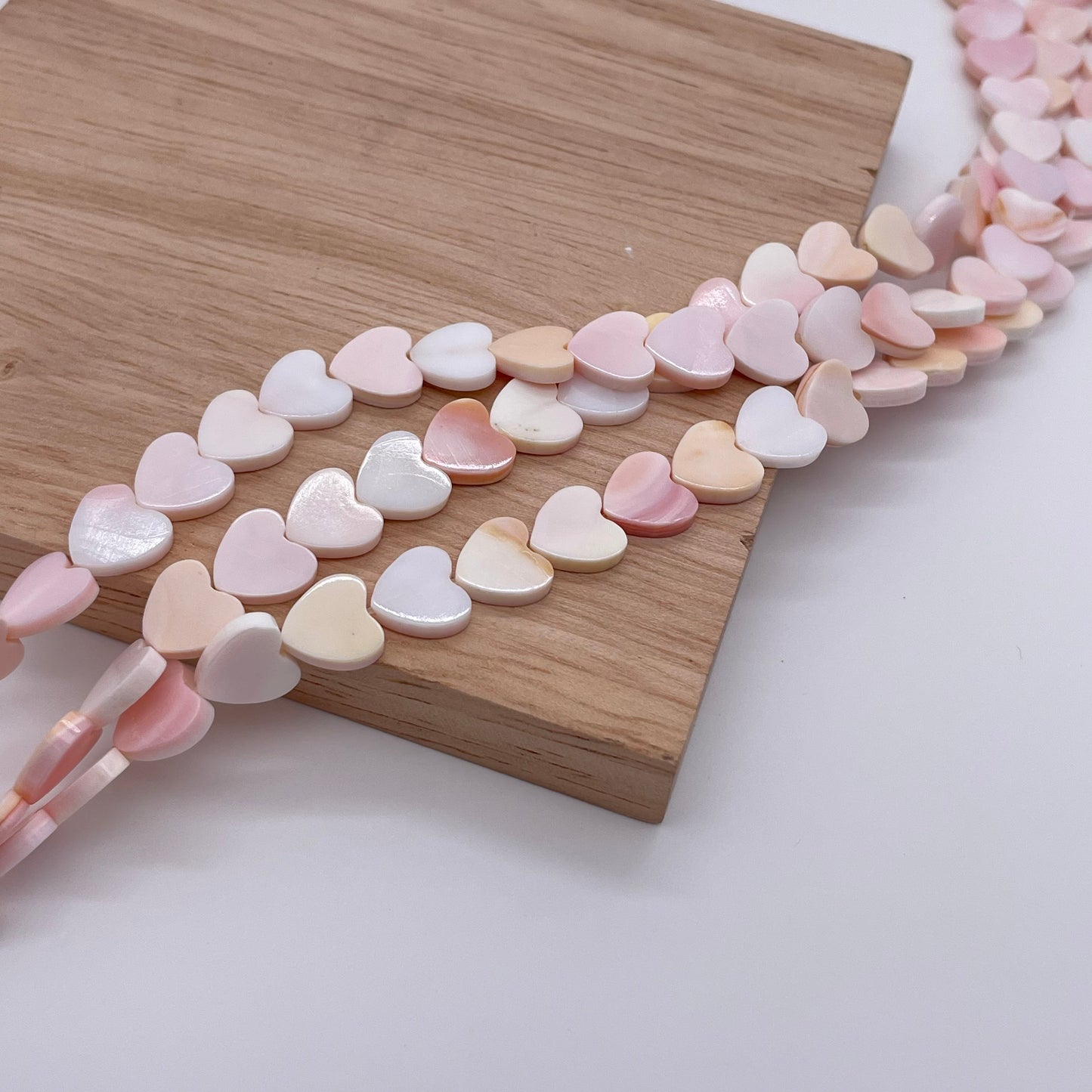Heart Queen Conch Natural Shell