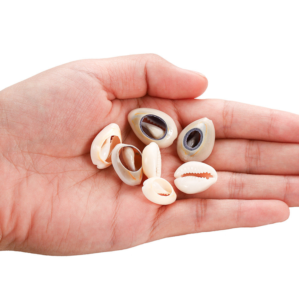 50 Small Cowrie Shell, Natural Sea Shell, Money Shell Bead, Bulk Shells