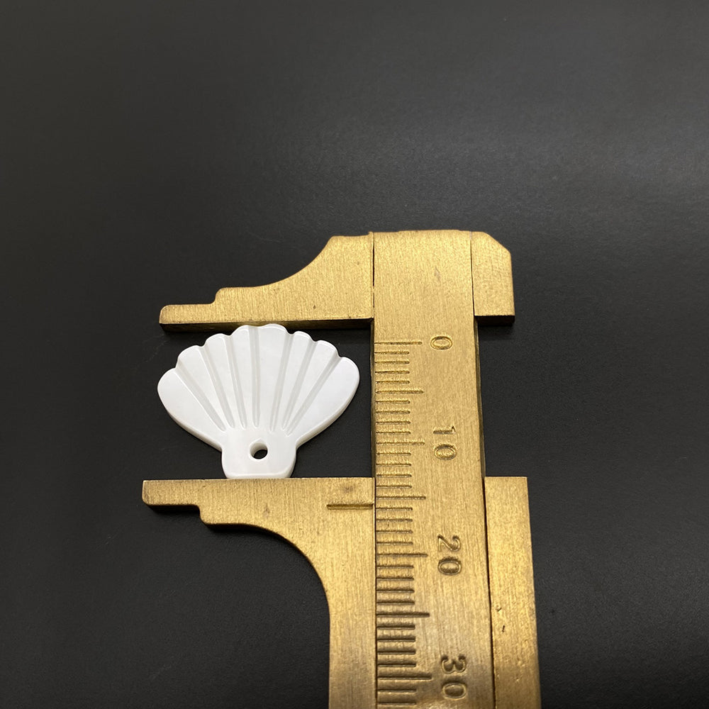 5 pcs/pack Shell charm