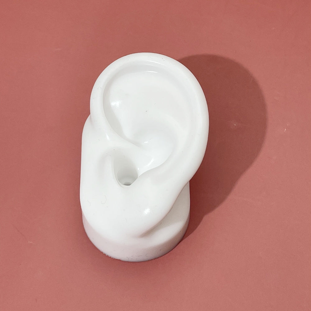 Silicone ear model can be wash
