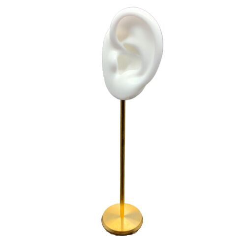 Silicone ear model can be wash