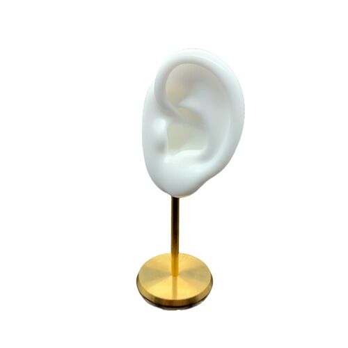 Silicone ear model can be wash