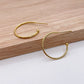 EFN01 A pair of Earring Hooks