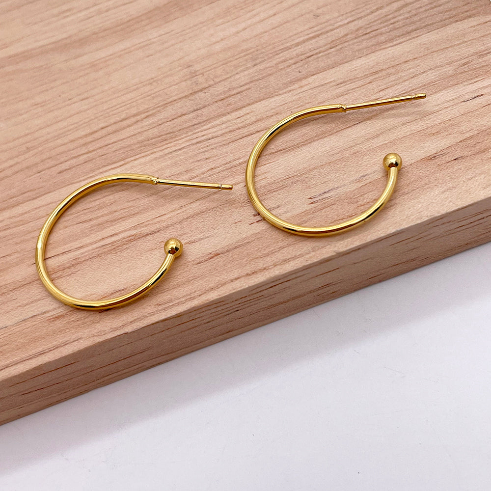 EFN01 A pair of Earring Hooks