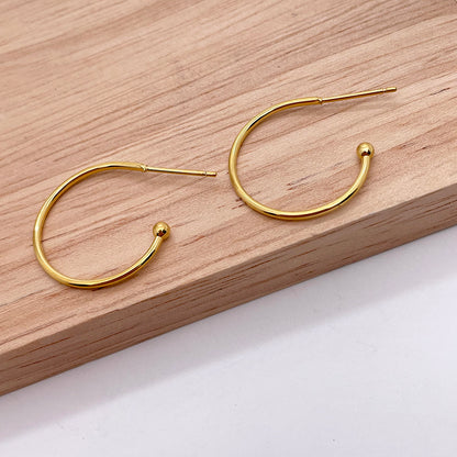 EFN01 A pair of Earring Hooks