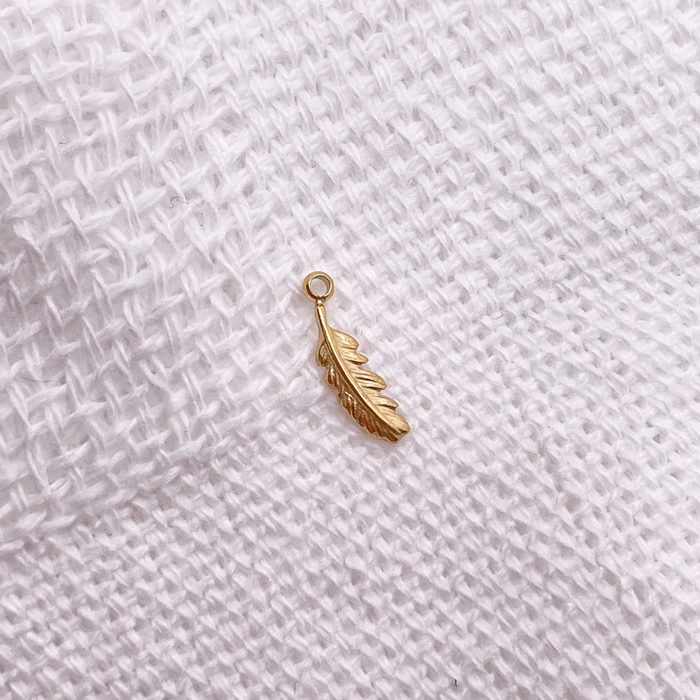 0562 Feather charm