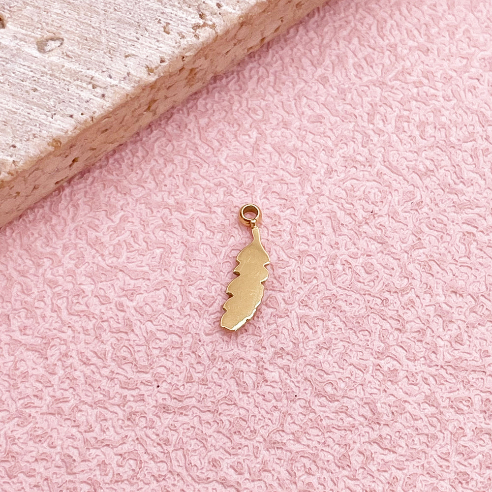 0562 Feather charm