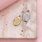 51527 Shell fossil cham