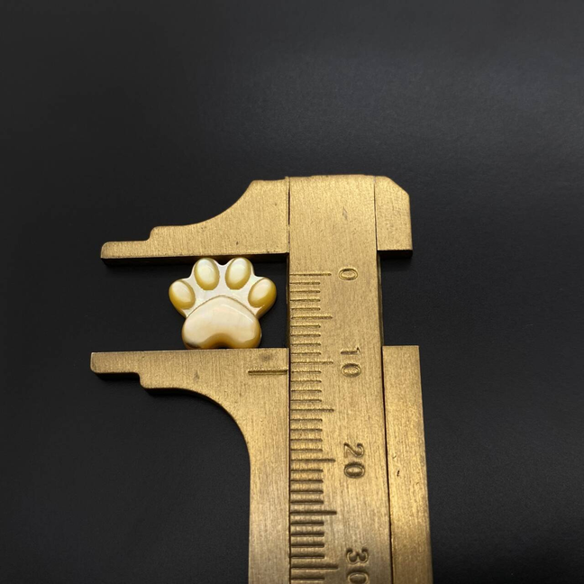 Paw shell charm