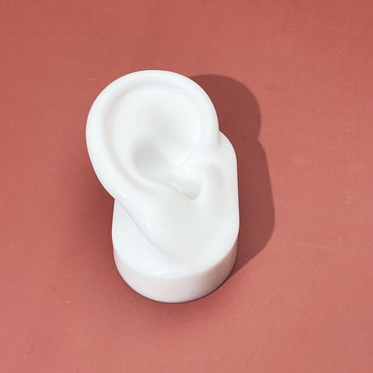 Silicone ear model can be wash