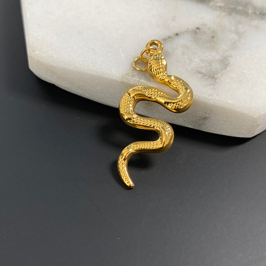 Snake Charm for DIY