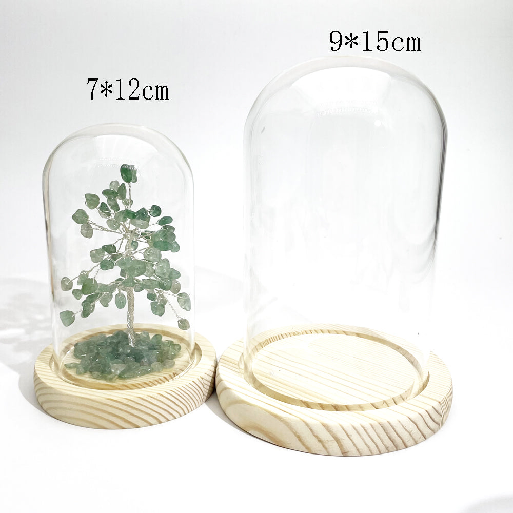 Glass dome cover with wood base for chips tree display