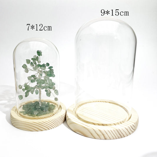 Glass dome cover with wood base for chips tree display